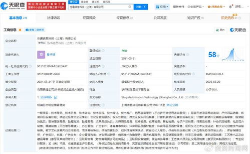 小紅書的投資邏輯 為何入股收藏鑒寶與旅游開發企業？